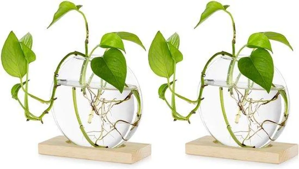 Jardinière Suspendue Lot de 2 pour Culture Hydroponique et Décoration