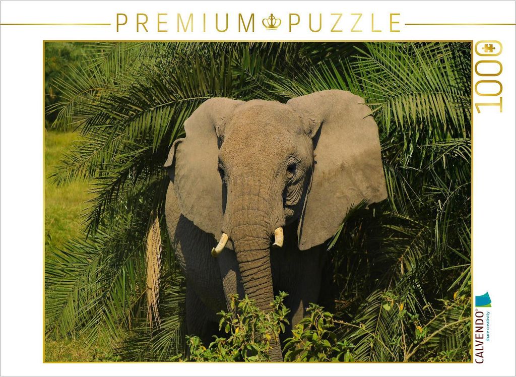 CALVENDO Puzzle Elefant | 1000 Teile Lege-Größe 64x48cm Foto-Puzzle für glückliche Stunden