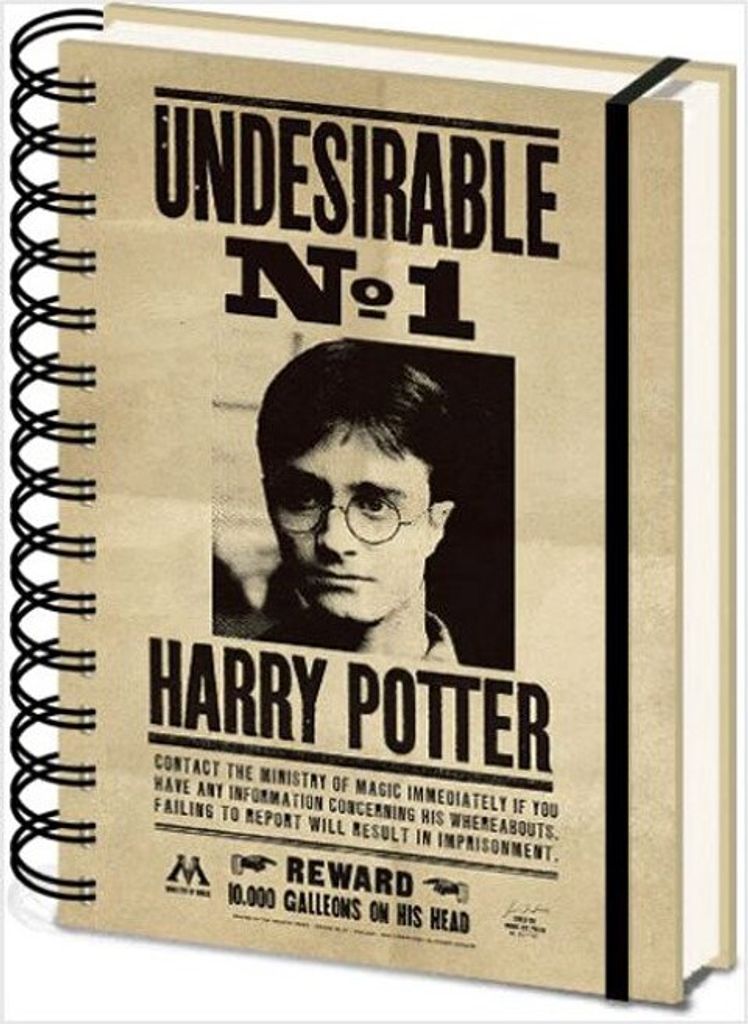 Zápisník A5, Harry a Sirius 3D Obrázok produktu 
