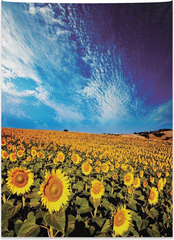 Abakuhaus Blumen Wandteppich, Sonnenblume Garten Natur aus Weiches Mikrofaser Stoff Kein Verblassen Klare Farben Waschbar, 110 x 150 cm, Gelb und Blau