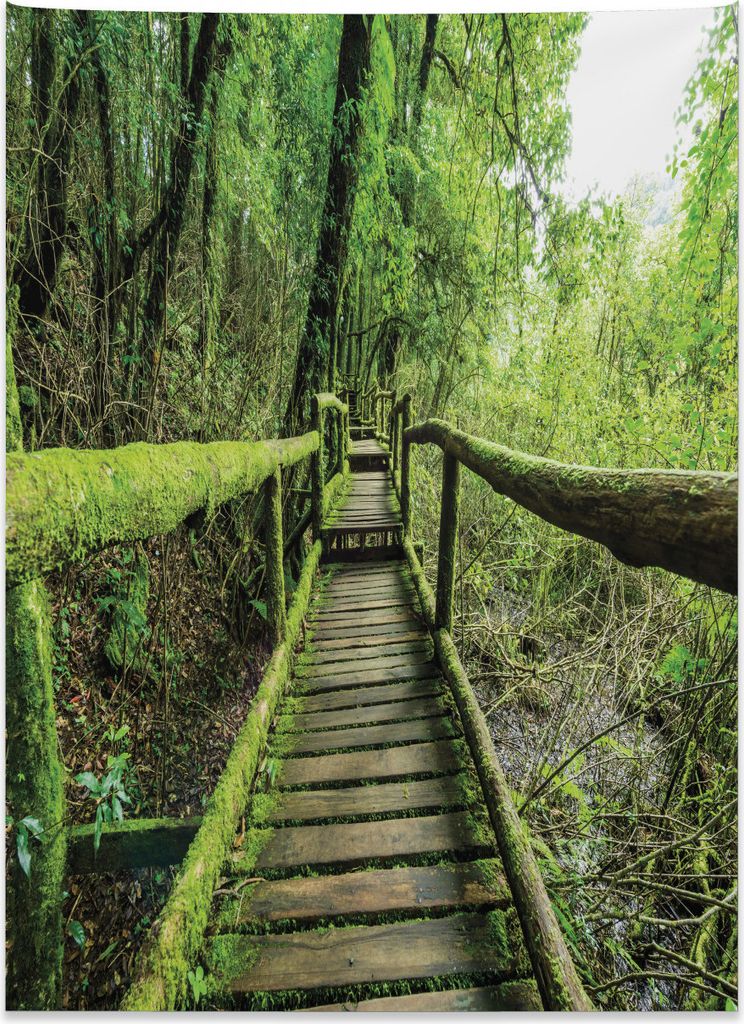 Abakuhaus Wald Wandteppich, Regenwald in Inthanon aus Weiches Mikrofaser Stoff Kein Verblassen Klare Farben Waschbar, 110 x 150 cm, Grün braun