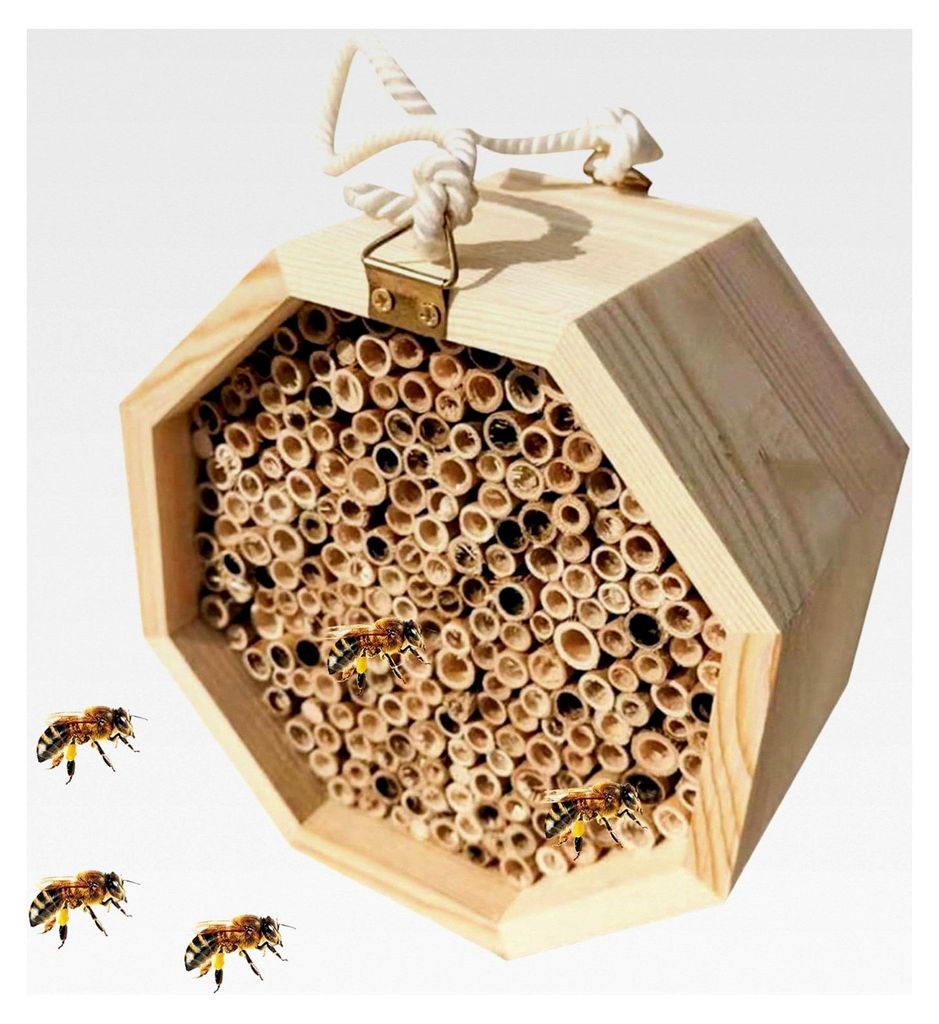 Bienenhäuser für den Garten - Lebensraum für bestäubende Bienen, Schmetterlinge und Wespen zur Steigerung der Produktivität
