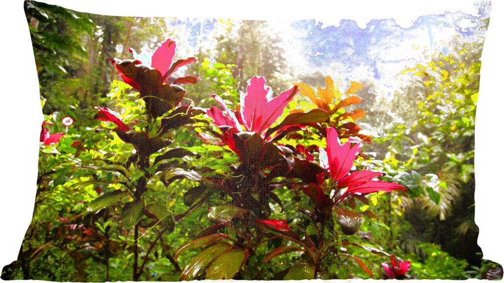 MuchoWow Zierkissen Sofakissen Wohnzimmer Dekokissen 60x40 cm Schöne Blumen inmitten des Dschungels - Kopfkissen - Polster mit Foto