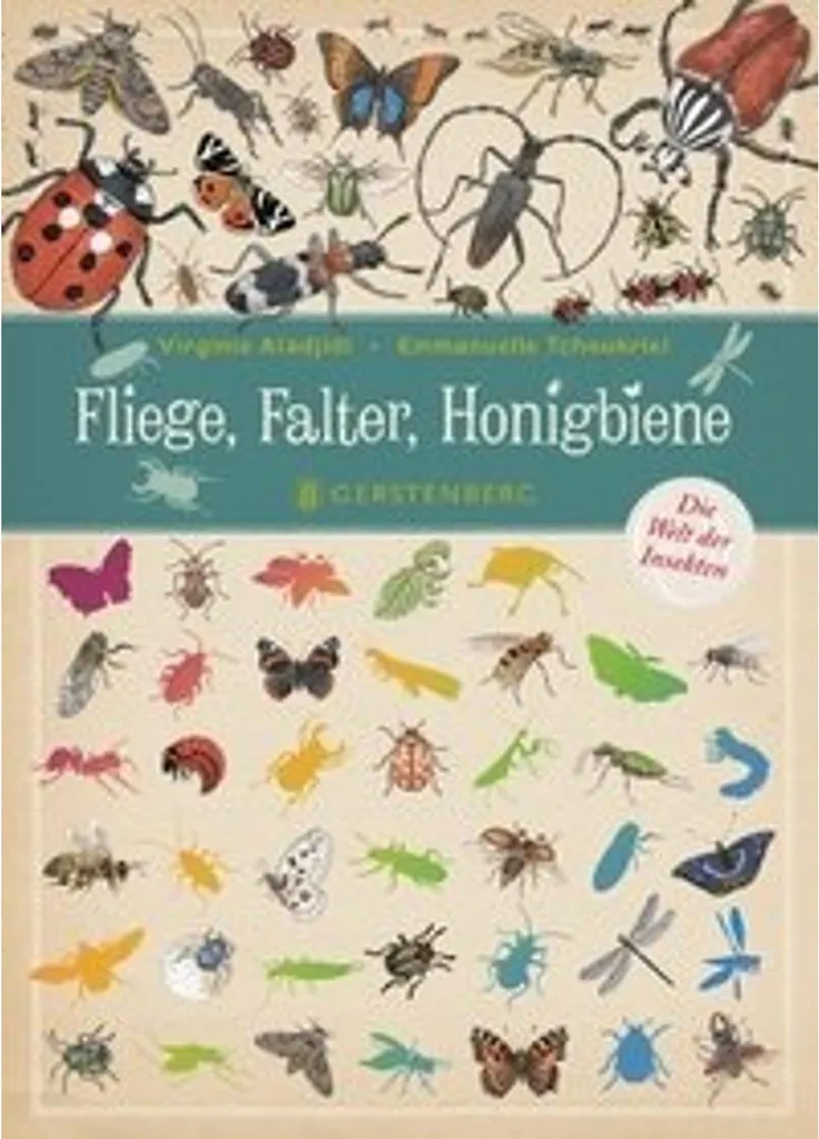 Appeau Éducatif Fliege Falter Honigbiene pour Observation Nature