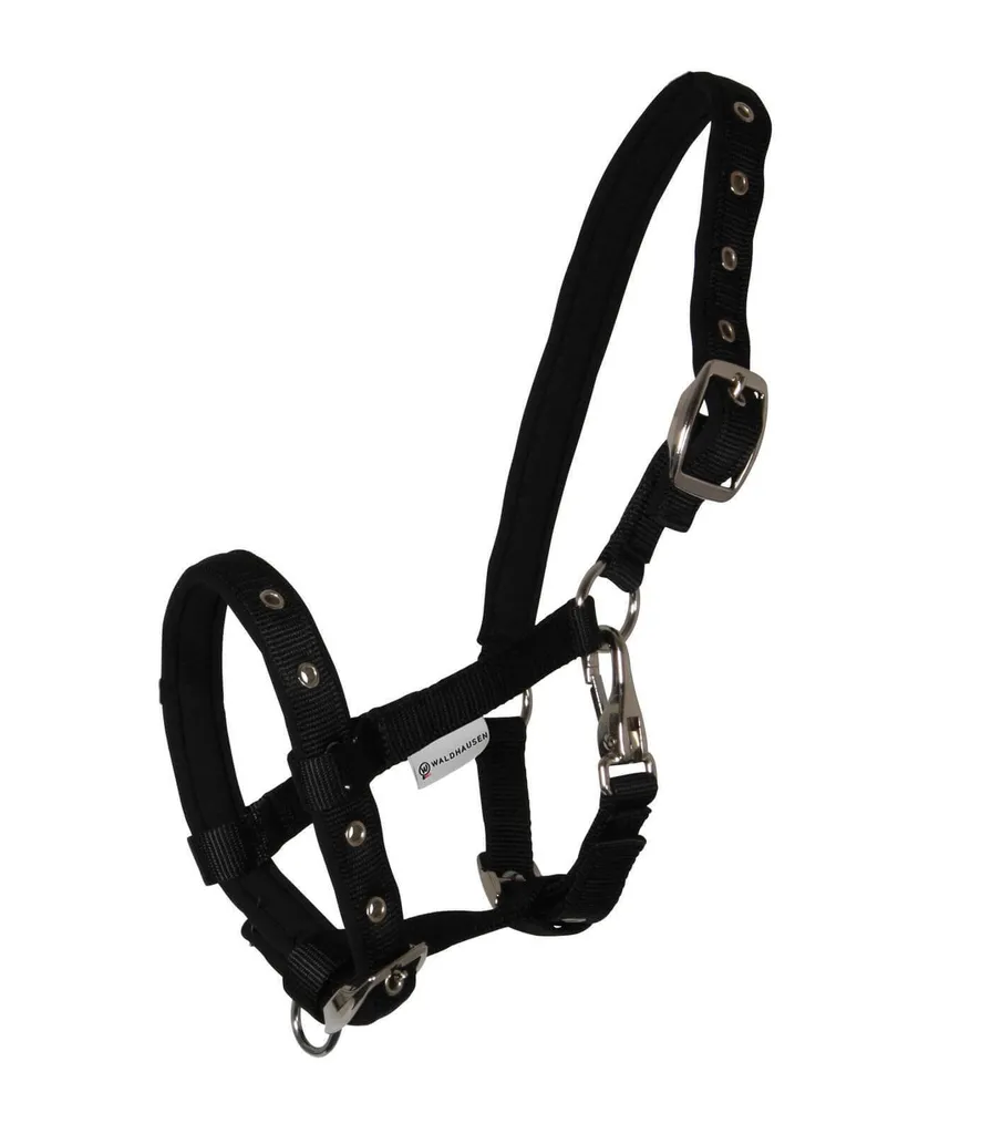 Licol poulain anti-frottement Waldhausen Comfort pour peaux sensibles
