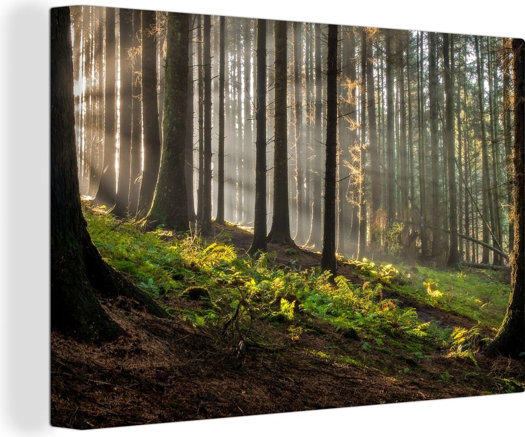 OneMillionCanvasses - Leinwandbilder - 140x90 cm, Sonne - Äste - Bäume - Wald - Natur, Wandbilder Kunstdruck Wanddekoration - Foto auf Leinwand...