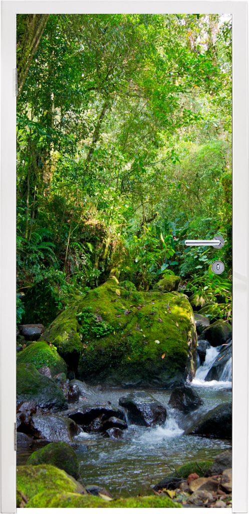 MuchoWow Türtapete Selbstklebende Türfolie Rainforest Creek 90x235 cm Türposter Türaufkleber Klebefolie Türklebefolie - XXL-Plakaten - Foste...