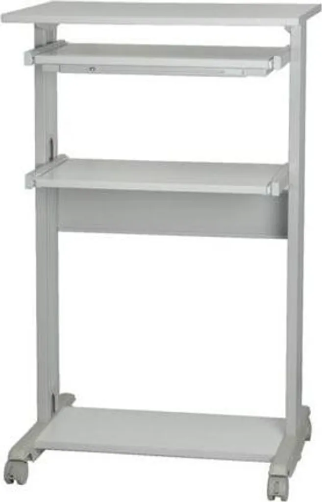 Poste de travail debout ROLINE pour PC - Support réglable ergonomique