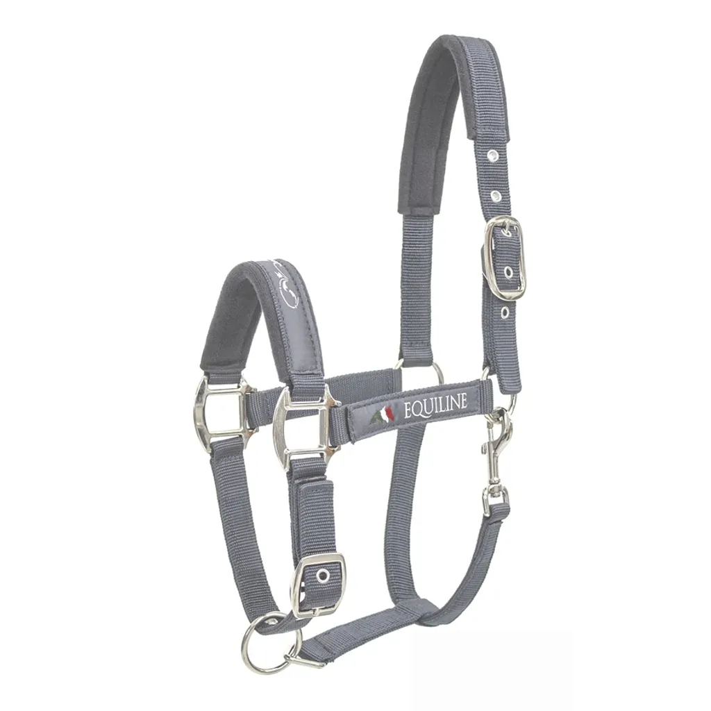 Equiline Timmy Licol de Box pour Cheval Confortable et Robuste Marine
