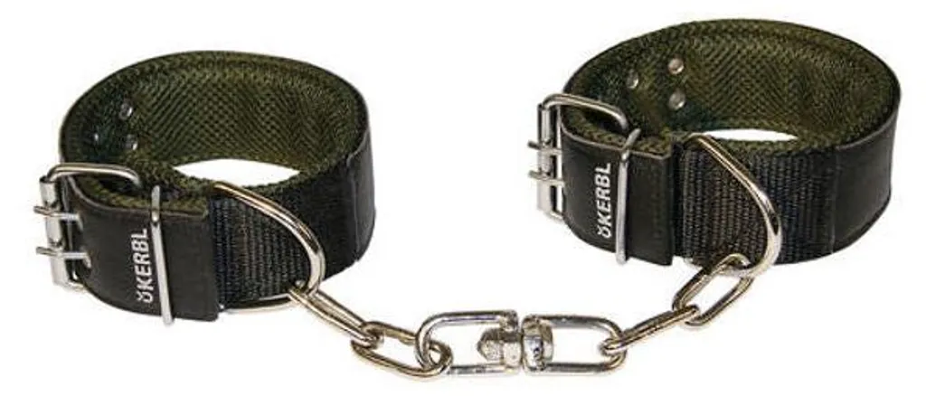 Bracelet anti-blessure pour cheville bovine avec chaîne de verrouillage