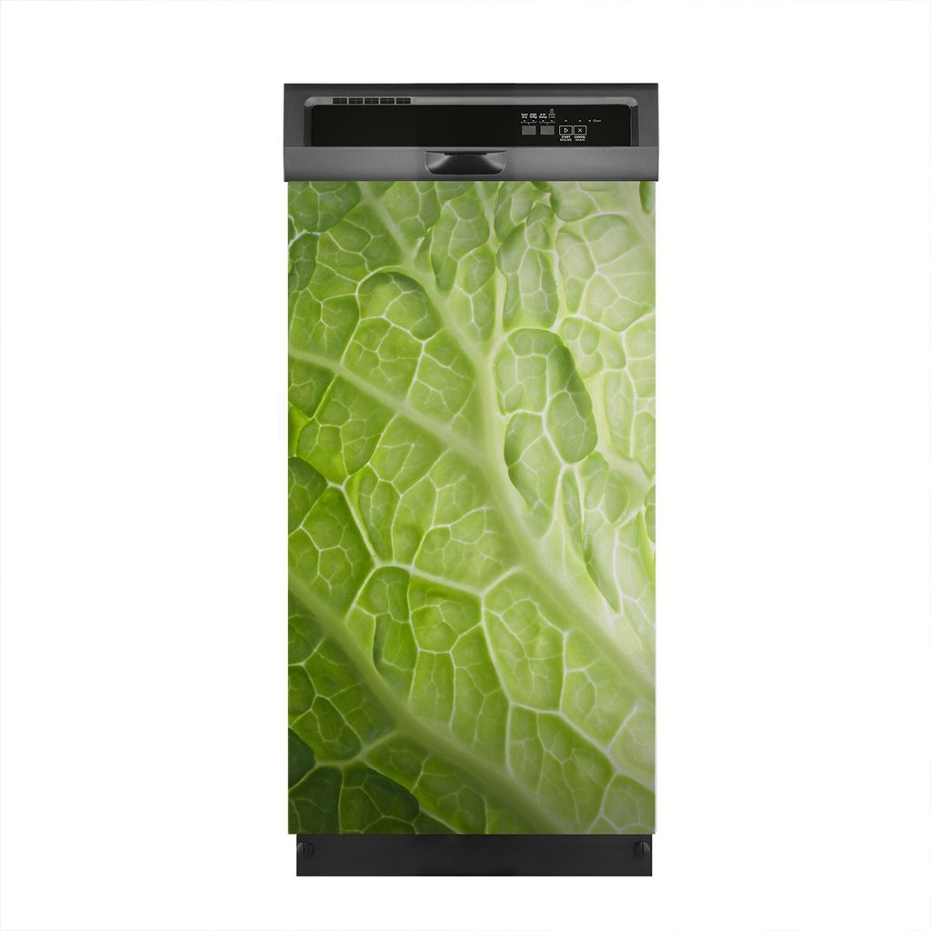 Magnete Dekorative 45x80 cm Küche Magnetmatte Spülmaschine - einzelnes Gemüseblatt