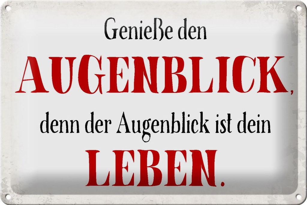 Blechschild Spruch 30x20cm genieße den Augenblick Leben