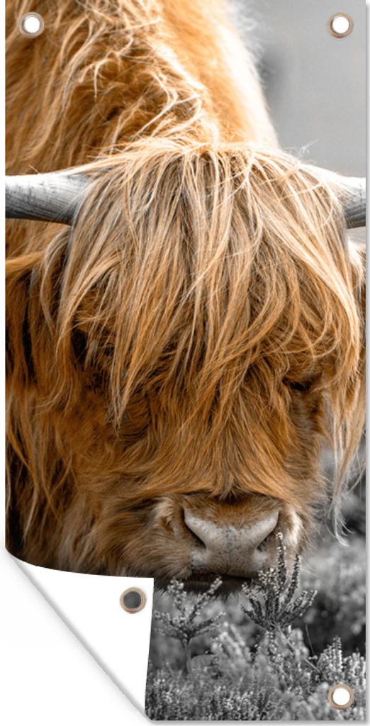 MuchoWow 40x80 cm Outdoor-Poster Gartendeko Sichtschutz Garten Poster für den Garten Scottish Highlander - Pflanzen - Schwarz - Weiß