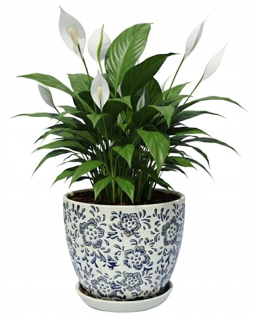 Mattweisser Keramikblumentopf Mit Blumengravur, Durchmesser Produktbild 