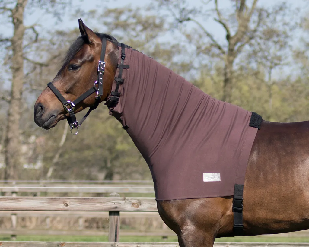 Protège-cou QHP anti-démangeaisons marron XL : stop à l'eczéma du cheval