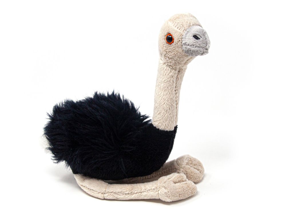 A plush toy ostrich sitting on a white background.
