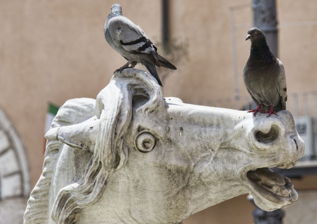 hansepuzzle 61239 - Pferdestatue Puzzle, 260 Teile, Hintergründe, 41,0 x 28,0cm mit hochwertiger Aufbewahrung, Kartonbox & Beutel