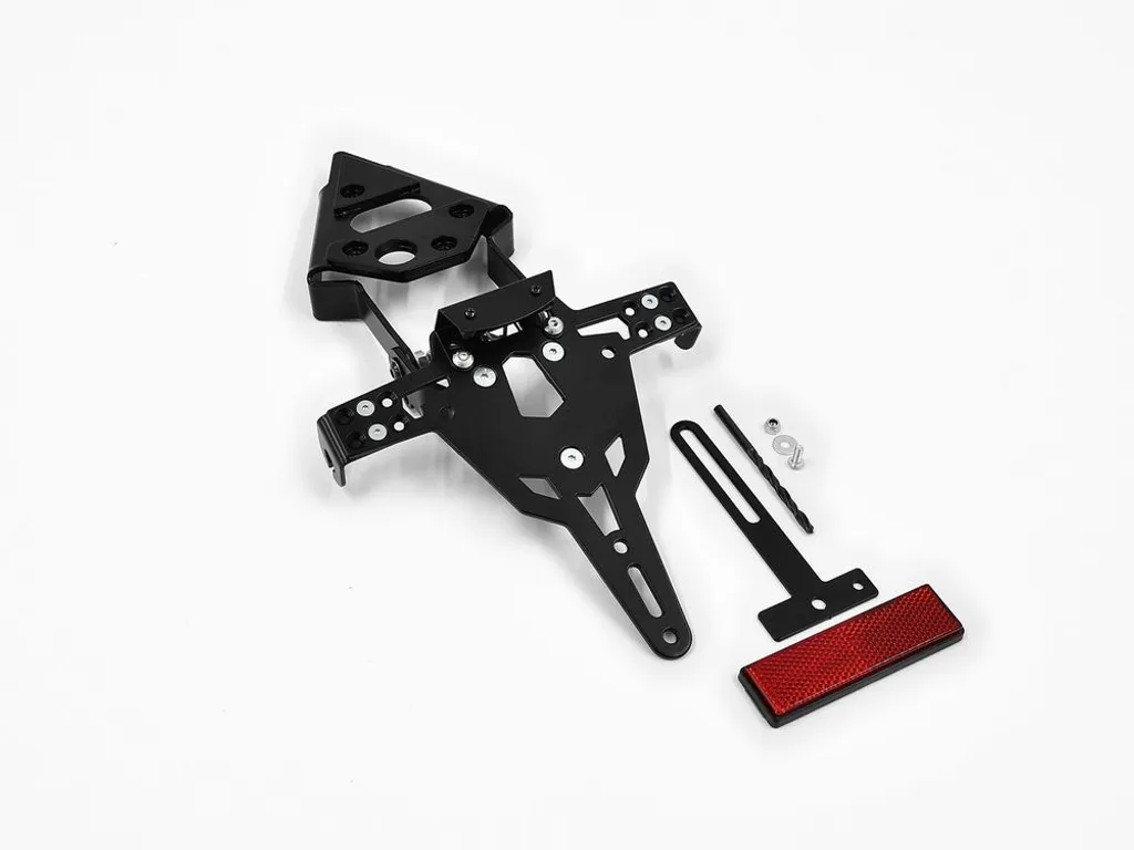 Porta Targa Professionale Zieger Pro per Triumph 675 - Qualità Tedesca