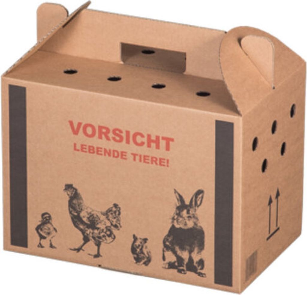 20x Transportkarton für Tiere - klein - Tragekarton, Kleintiere