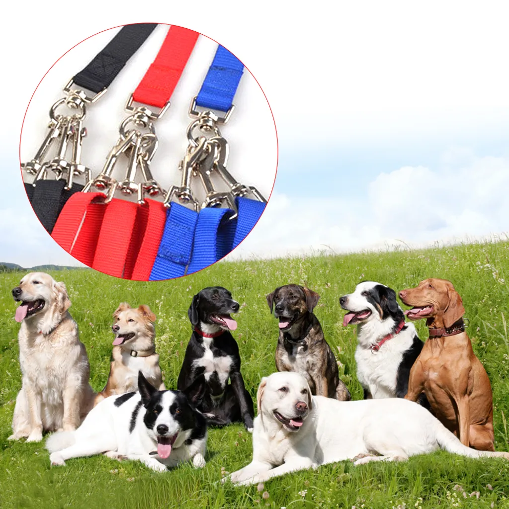 Offerta Guinzaglio Triplo Cani Nylon Blu | Resistente e Regolabile - 12