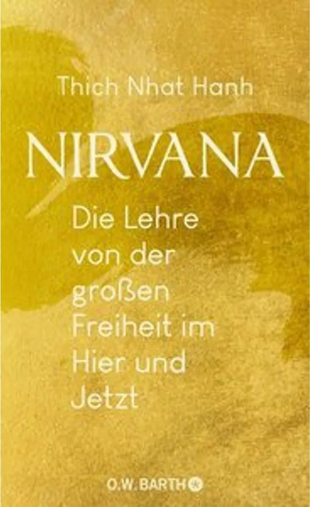 Déco Murale Nirvana : Affiche Vintage Encadrée pour Chambre de Fan