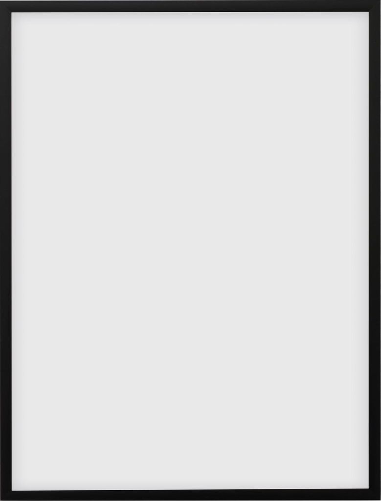 RAWWEST.BIS Bilderrahmen 40x50 cm Plexiglas Poster Foto Wandrahmen