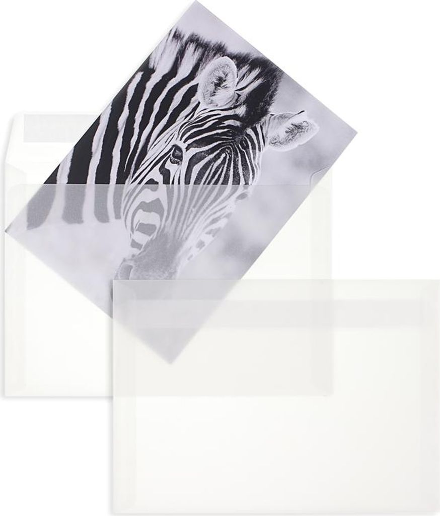 Transparente Briefumschläge - Weiß (Transparent-Weiß)162 x 229 mm (DIN C5) | 100 g/qm Offset | Ohne Fenster | Haftklebung | Gerade Klappe | 25 S...