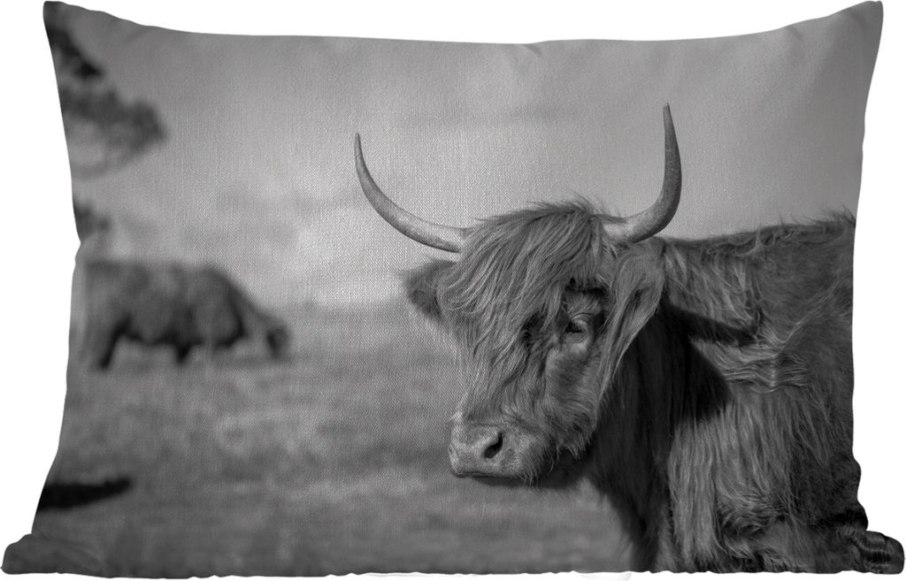 MuchoWow Outdoor Kissen - Schottisches Hochlandrind - Tiere - Schwarz - Weiß - 50x30 cm - Wetterfest - Lounge Kissen - Sofa kissen - Wohnzimmer ...