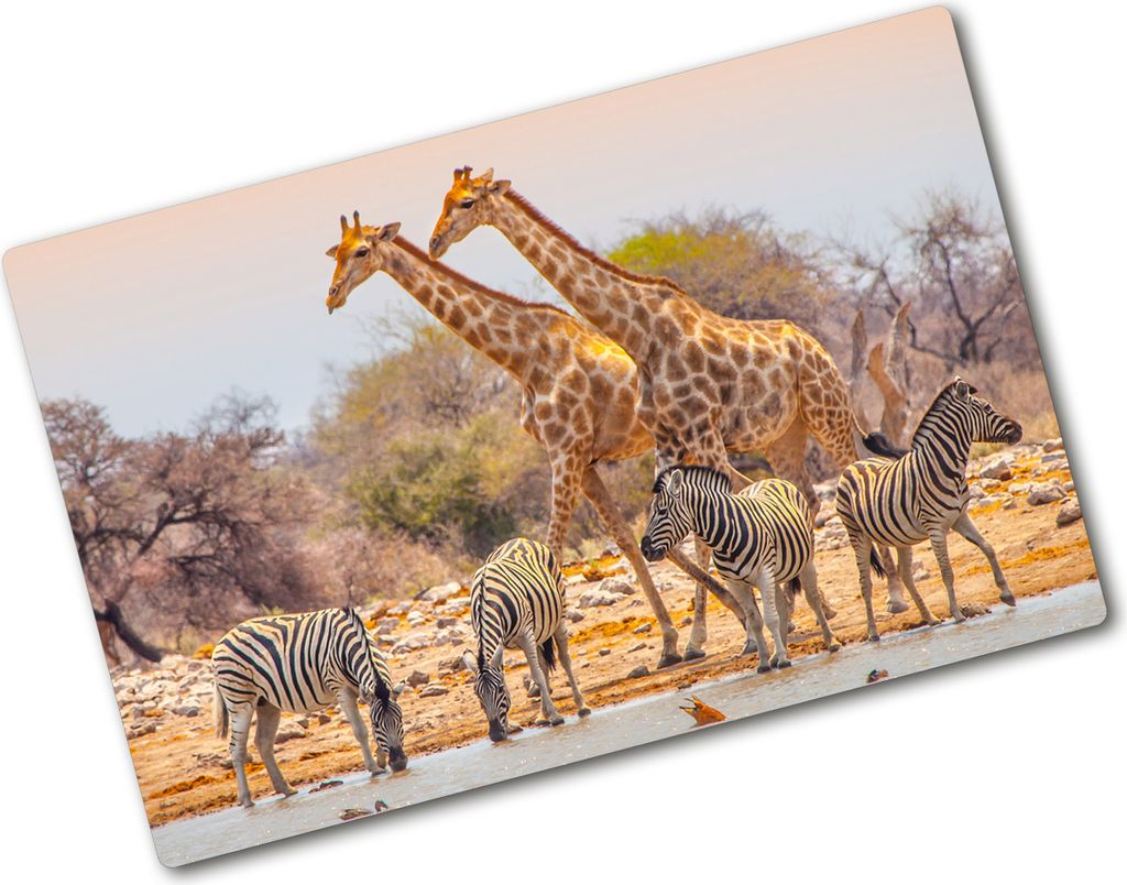 Tulup Glas Herdabdeckplatte - 80x52 cm - Glaskeramikkochfeld-Abdeckung Spritzschutz Glasabdeckplatte - Einteilig - Tiere - Giraffen und Zebras - Braun