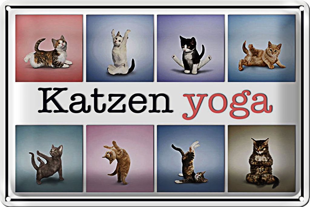 Blechschild Katze 30x20cm Katzen Yoga bunte Dekoration