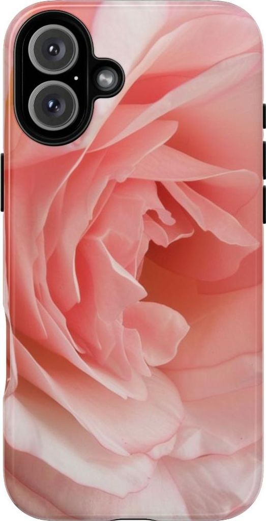 Zarte Rosenblüte in Nahaufnahme – Hülle Kompatibel mit iPhone 16 Plus
