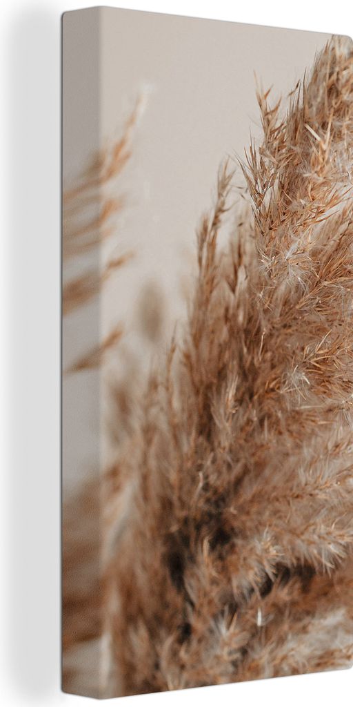 MuchoWow - Leinwandbilder - Gras - Pflanzen - Natur - Pampasgras, Wandbild, Wanddeko Bilder Wohnzimmer, 20x40 cm