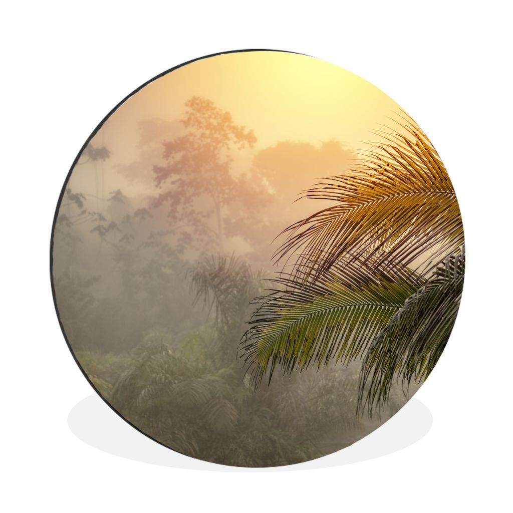 MuchoWow Aluminium Wandkreis Schöner Sonnenuntergang über dem Dschungel des Corcovado-Nationalparks in Costa Rica Ø 90 cm Wanddeko Modern Wohn...