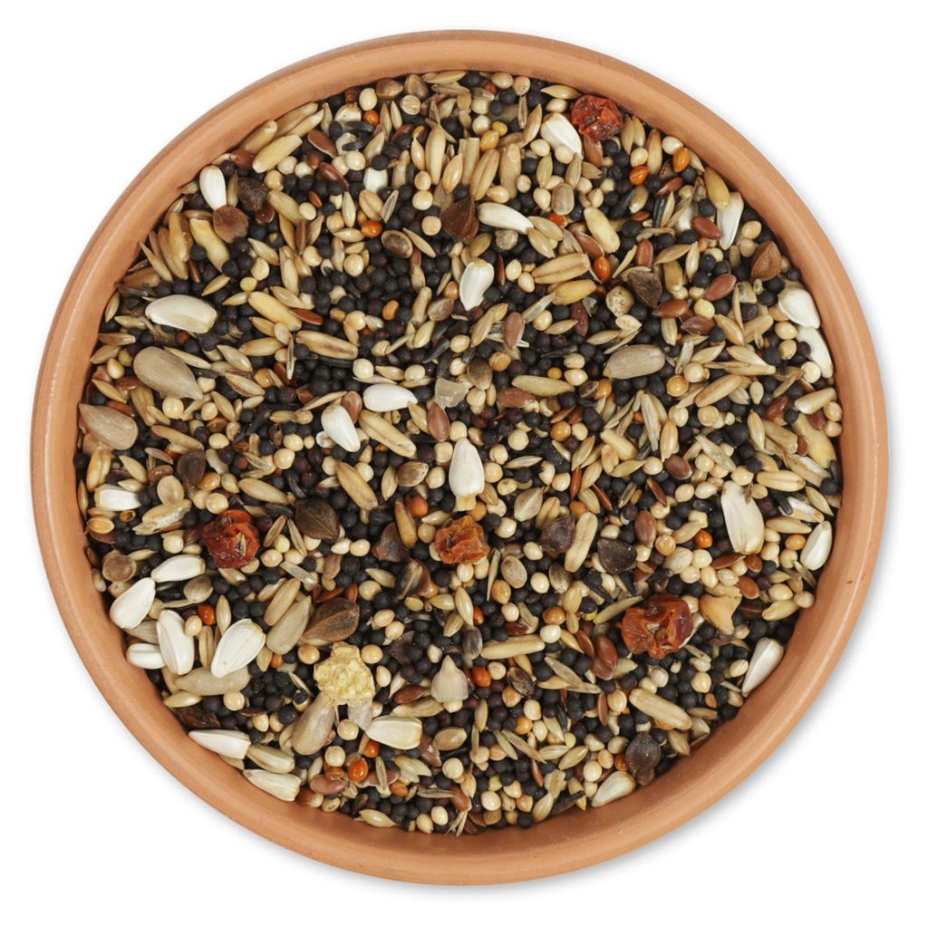 CJ Wildlife Vogelfutter Wildvögel für Sommer 2kg - 100% natürlich ohne Zusatzstoffe, Farb- oder Aromastoffe - Mind. 15% Eiweiß