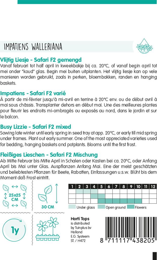 Fleißiges Lieschen Safari F2 Mischung | Blumensamen von Hortitops