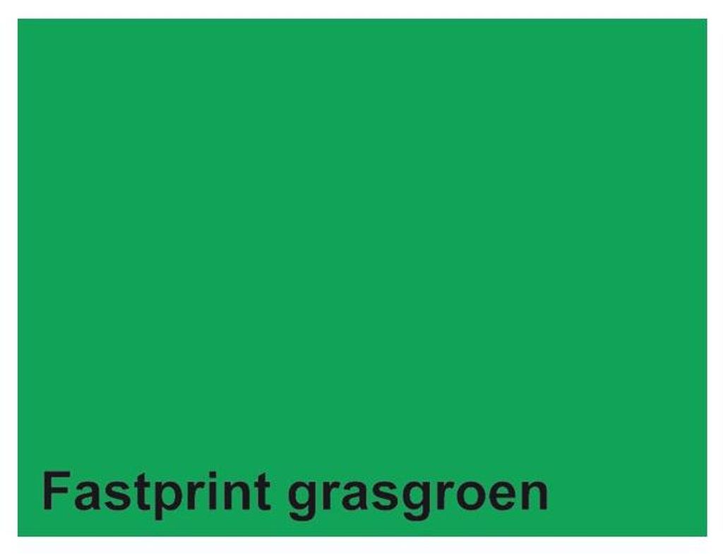 Quantore - Kopieerpapier A4 160gr grasgroen 50vel