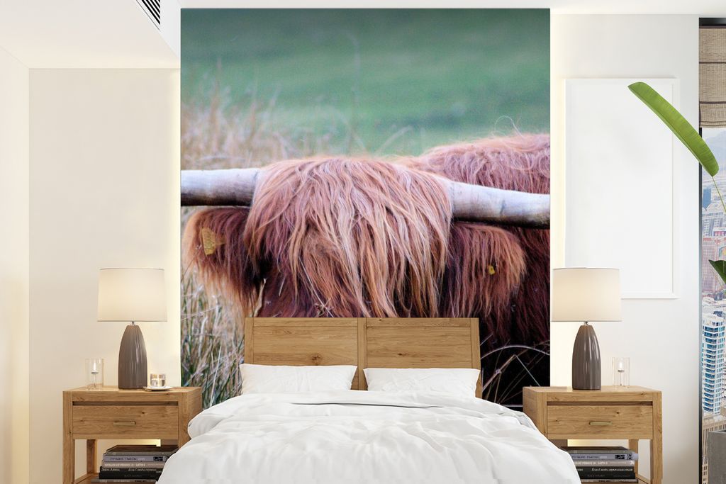 MuchoWow Fototapete für Wohnzimmer oder Schlafzimmer Wandtapete Vinyl Motivtapete Schottischer Highlander - Hörner - Gras - 175x240 cm - Schlaf...