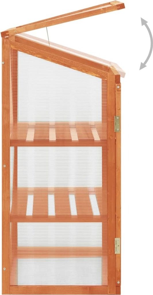 vidaXL Gewächshaus 60x45x100 cm Tannenholz Produktbild 3