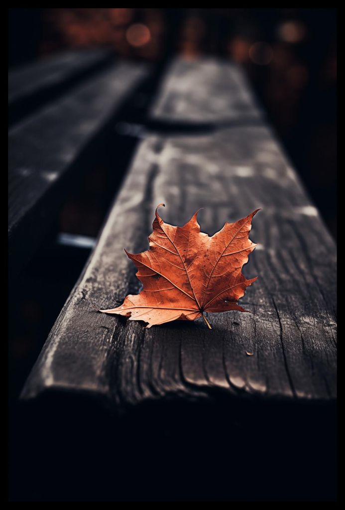 Poster 40x60cm Einzelnes Blatt