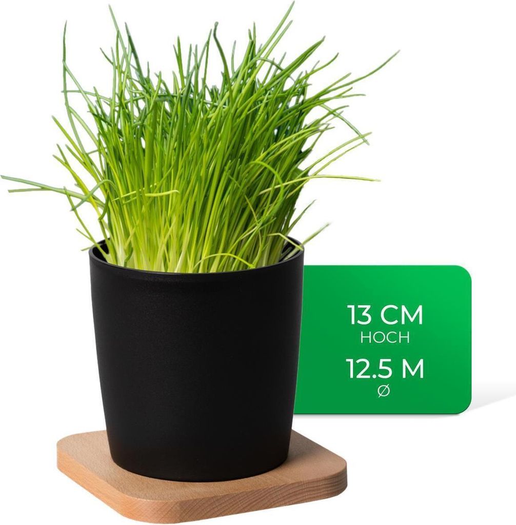 Novaliv Stilvolle Kräutertopf mit Holzunterlage für jede Fensterbank, Für frische Küchenkräuter, Kräutergarten für die küche, Kräuterbeet ...