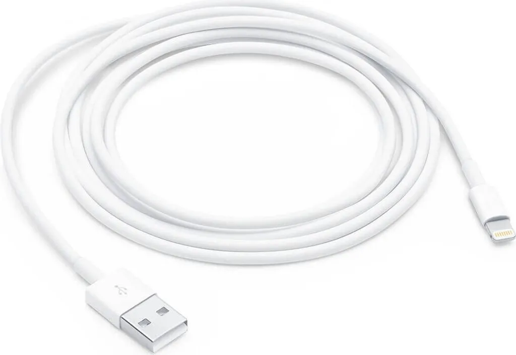Cavo Apple Lightning 1m per iPhone e iPad - Originale MXLY2ZM/A