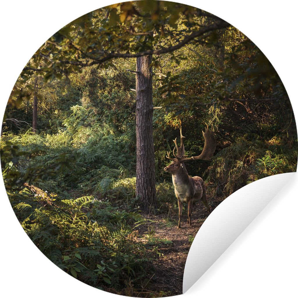 MuchoWow Runde Wandtattoo - Wandsticker Tapete Aufkleber Hirsch - Geweih - Wald - Herbst Ø 30 cm Selbstklebend und Repositionierbar - Wandaufkle...