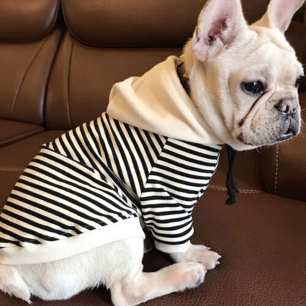 Haustier-Hundekatzen-Bulldoggen-Kleidungs-T-Shirt gestreifte Welpen-Hoodie-Mantel-Kleidung - 2XL