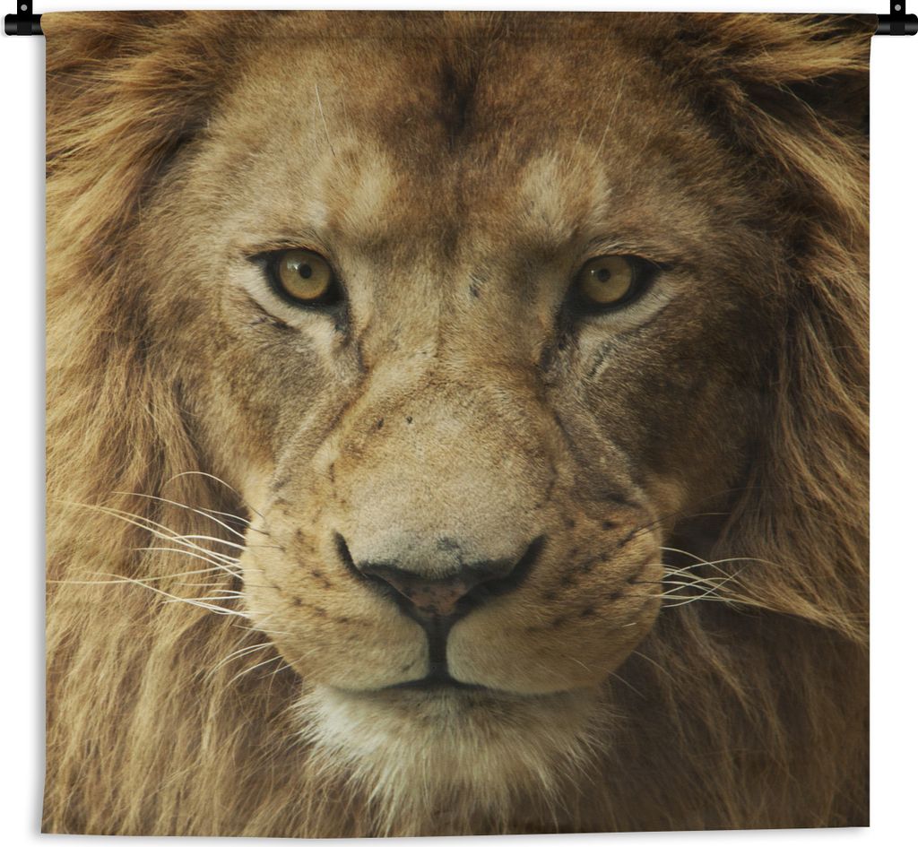 MuchoWow Wandteppich Wandbehang Porträt - Afrika - Löwe 150x150 cm Tapisserie Dekoration Wandtuch - Wohnaccessoires - Modernes