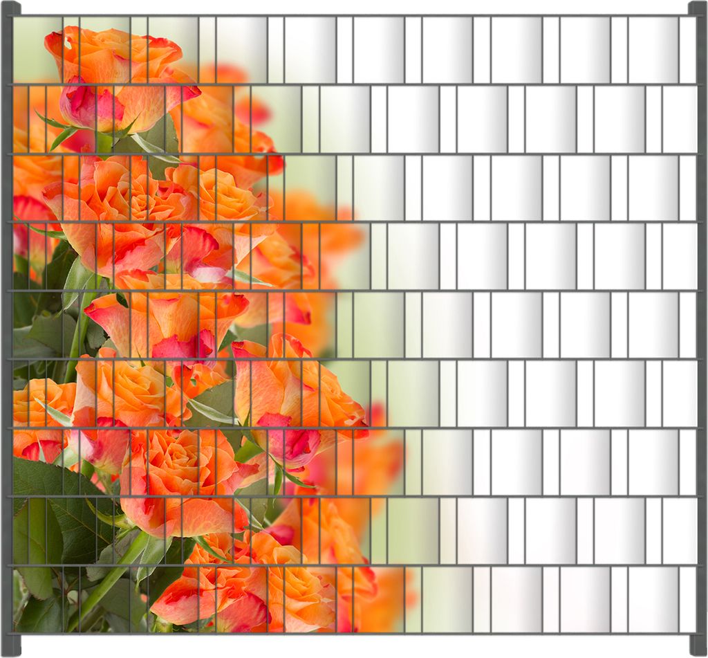 Wallario Zaunsichtschutz mit Motiv Orangene Rosenblüten im Strauß für Ein- und Doppelstabmatten Zäune in der Größe 200 x 180 cm