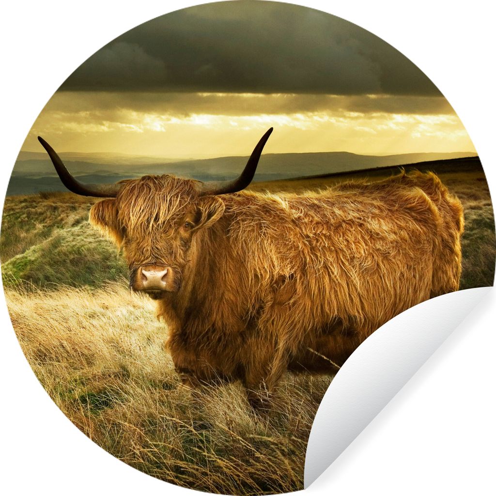 MuchoWow Runde Wandtattoo - Wandsticker Tapete Aufkleber Schottische Highlander - Licht - Natur Ø 50 cm Selbstklebend und Repositionierbar - Wan...