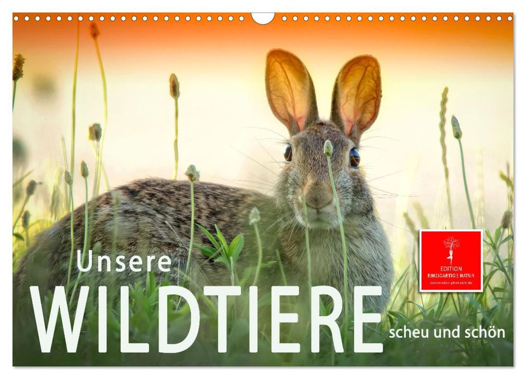 Unsere Wildtiere - scheu und schön (Wandkalender 2027 DIN A3 quer), CALVENDO Monatskalender