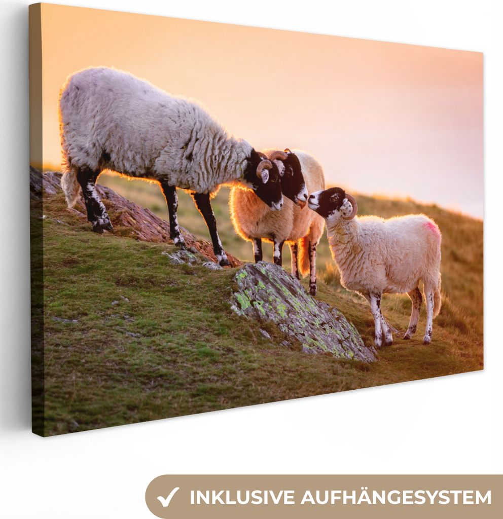 OneMillionCanvasses - Leinwandbilder - 140x90 cm, Schafe - Tiere - Sonnenuntergang, Wandbilder Kunstdruck Wanddekoration