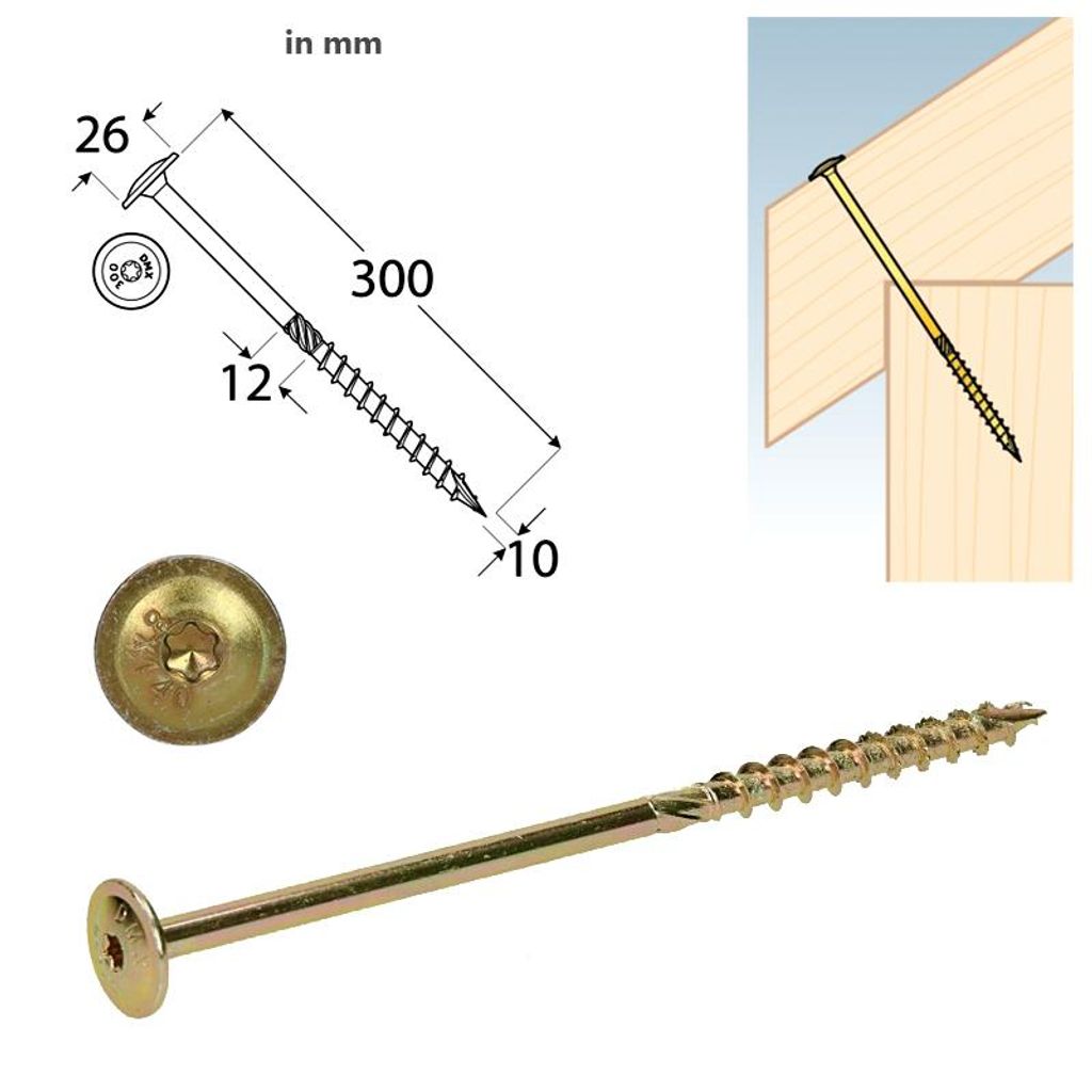 Tellerkopfschrauben 10,0x300 Konstruktionsschrauben Holzschrauben Set 25 Stück