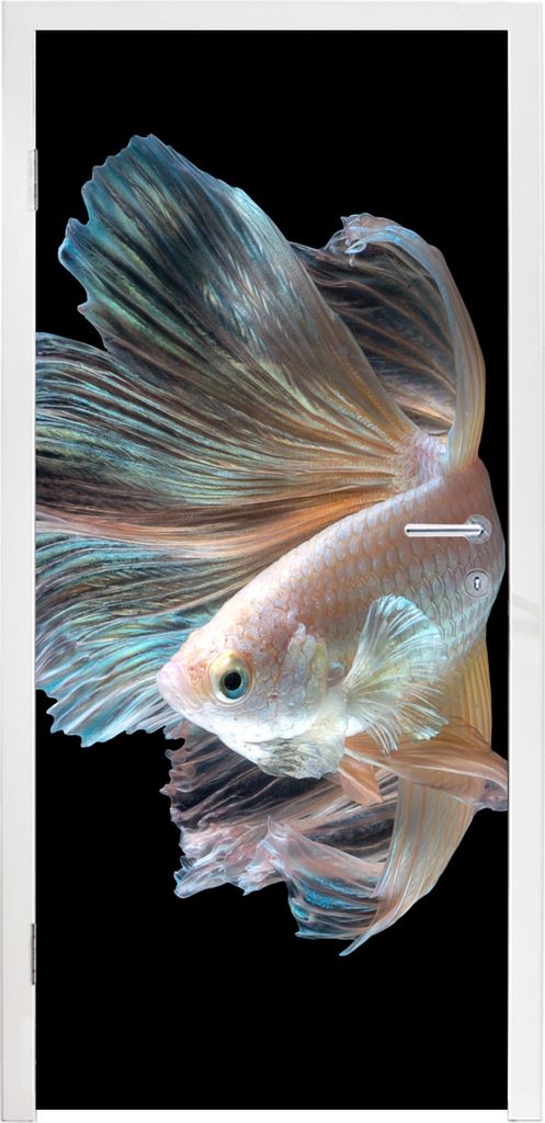 MuchoWow Türtapete Selbstklebende Türfolie Fisch - Schwanz - Schwarz 95x215 cm Türposter Türaufkleber Klebefolie Türklebefolie - Tür Tapete...
